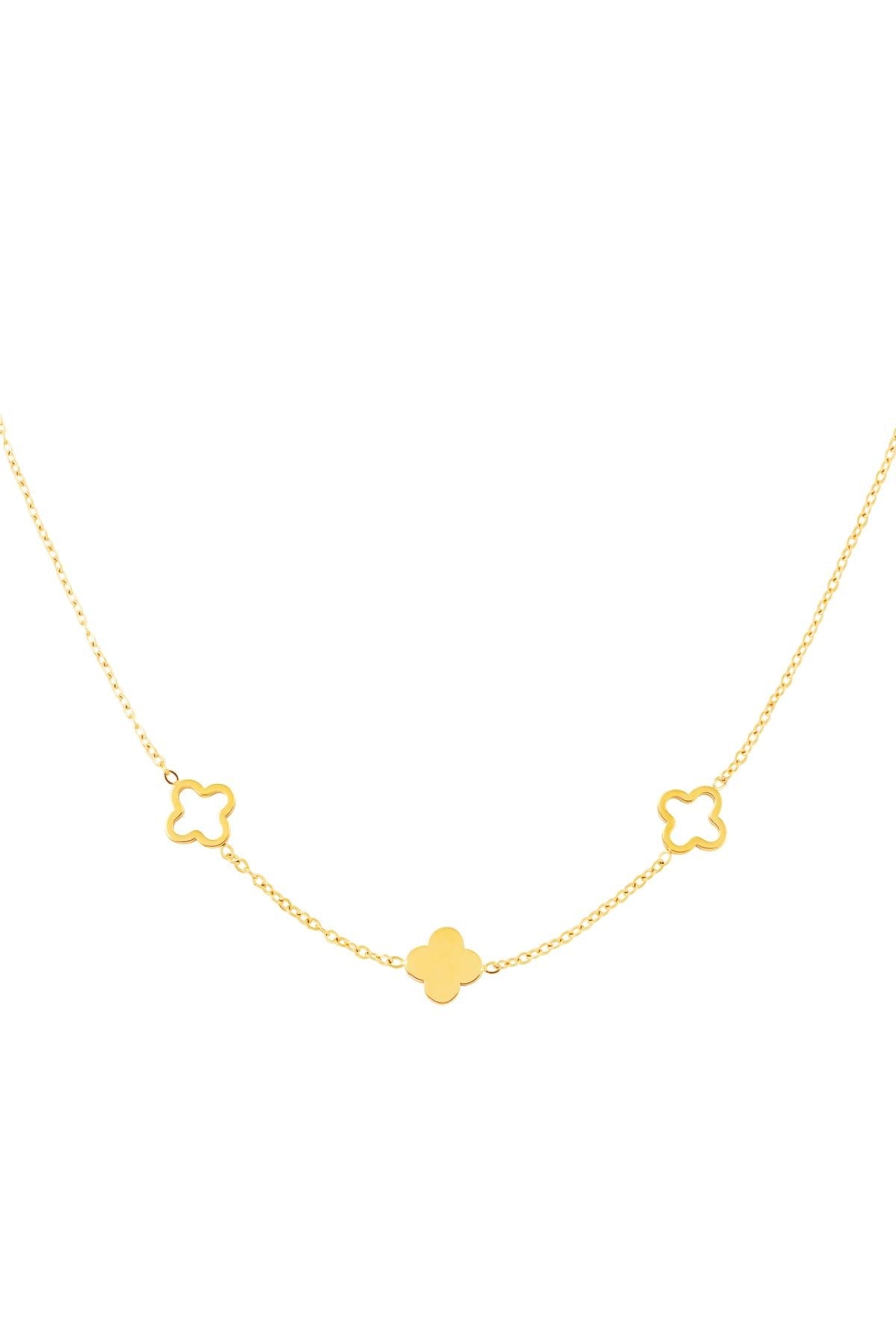 Necklace "Kleegold"